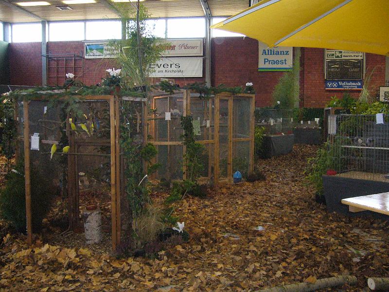 Ortsschau Langenberg 2008 101.jpg - Impressionen der Ortschau Langenberg 2008